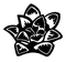 The Haworthia Society